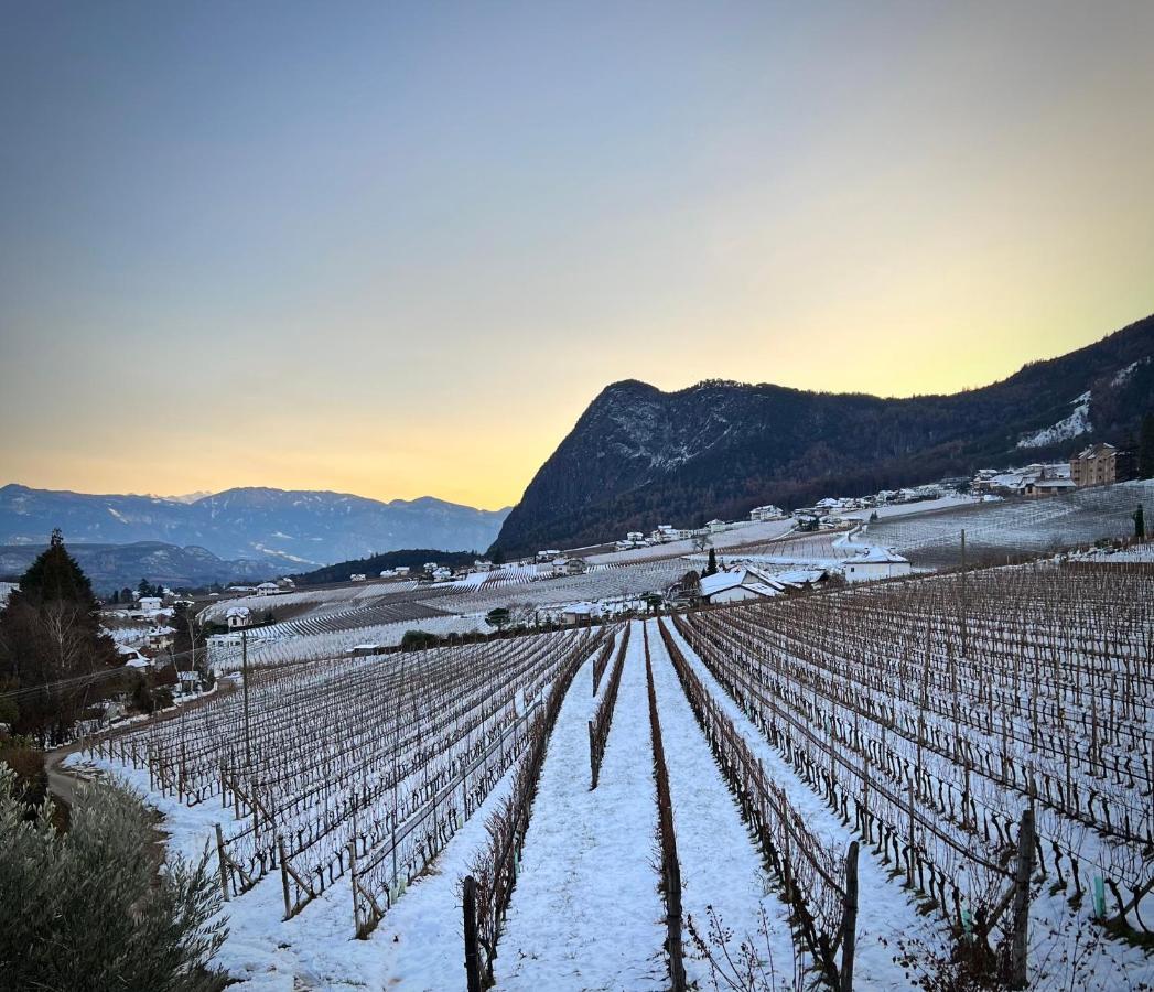 Strahlerhof Leilighet Appiano Sulla Strada Del Vino Eksteriør bilde