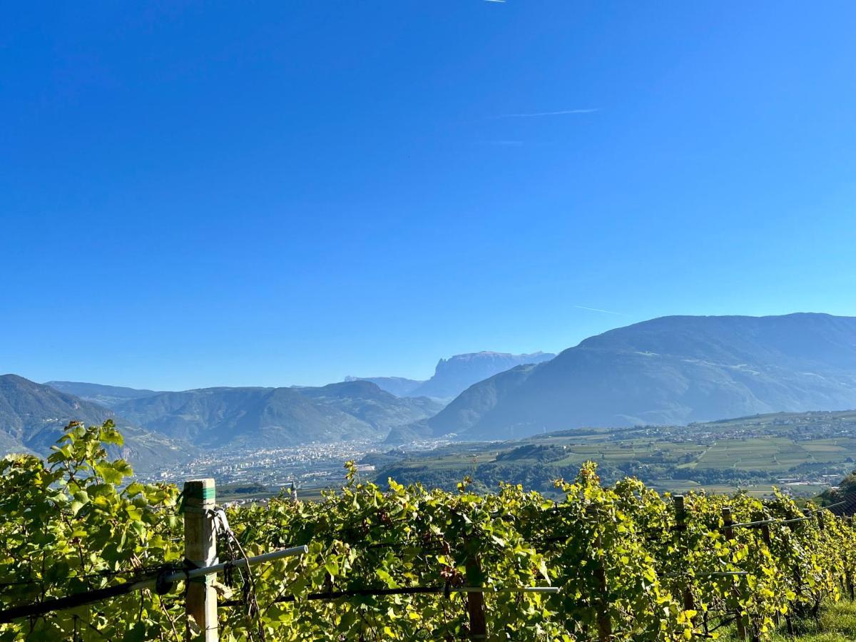 Strahlerhof Leilighet Appiano Sulla Strada Del Vino Eksteriør bilde