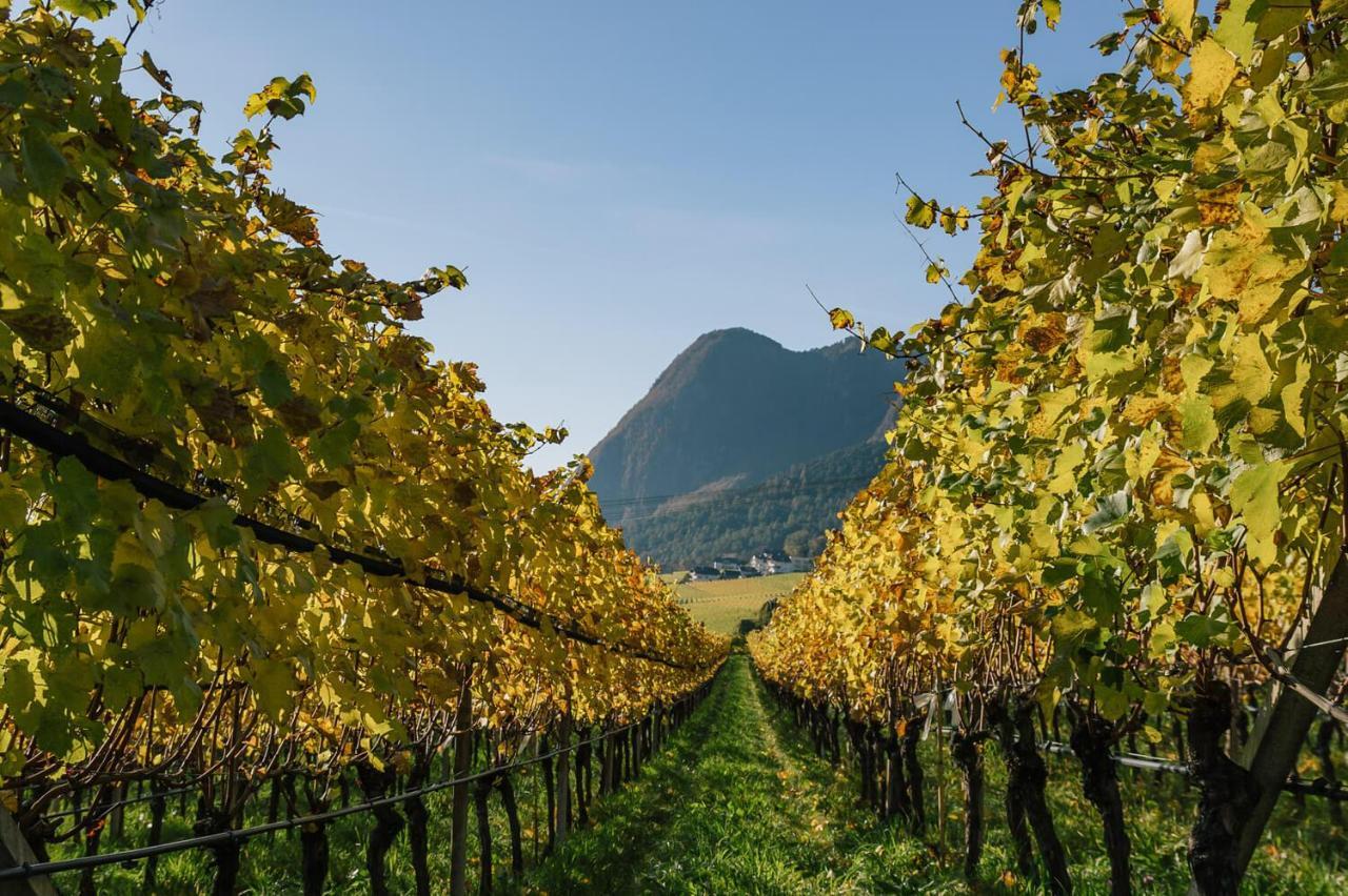 Strahlerhof Leilighet Appiano Sulla Strada Del Vino Eksteriør bilde