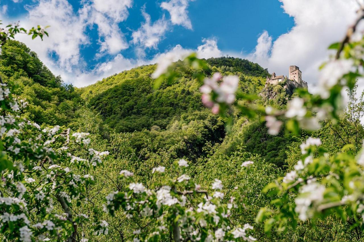 Strahlerhof Leilighet Appiano Sulla Strada Del Vino Eksteriør bilde